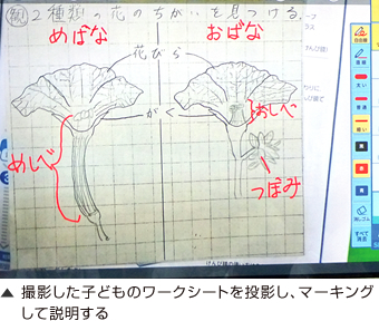 撮影した子どものワークシートを投影し、マーキングして説明する