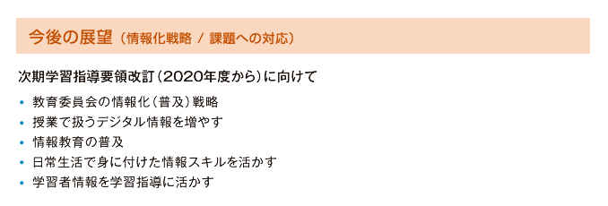 今後の展望 （情報化戦略 / 課題への対応）